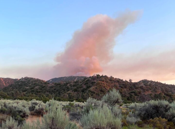 ' . esc_html ( get_post_meta ( get_post_thumbnail_id($post->ID), '_wp_attachment_image_alt', true ) ) . '